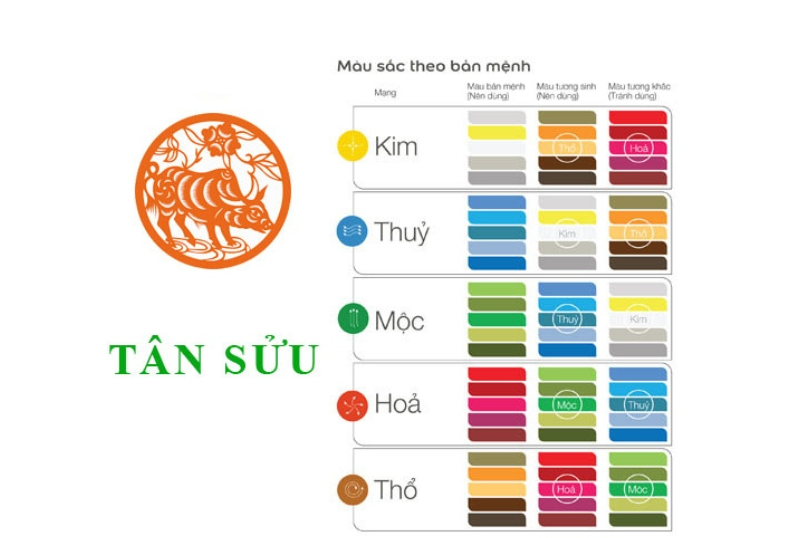 Màu sắc của tuổi tân sửu